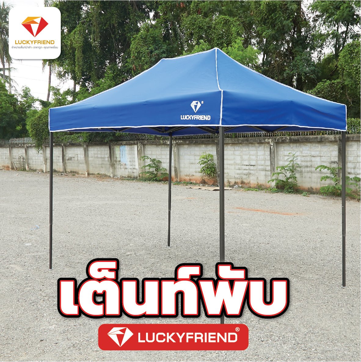 T1S โครงสีดำ - LUCKYFRIEND Thailand
